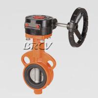 蝸輪對(duì)夾式軟密封蝶閥